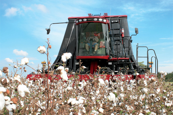 Case IH | Harvesting Equipment | Module Express Cotton Pickers for sale at Rusler Implement, Colorado