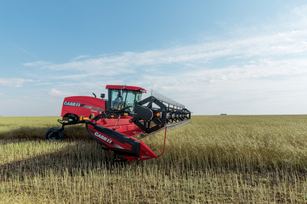 Case IH | Windrowers | Windrowers for sale at Rusler Implement, Colorado